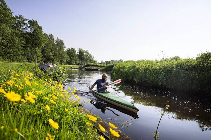 Camping für 5 Personen, mit Pool und Terrasse, mit Haustier in Holländische Küste - 4