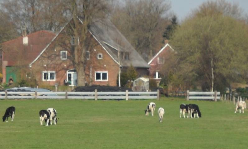 Ferienhaus für 2 Personen, mit Balkon und Garten, kinderfreundlich in Elbe-Weser - 3