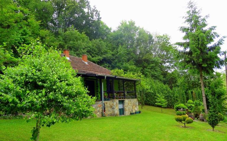 Location de vacances pour 5 personnes, avec jardin et vue à Despotovac - 4