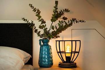 Glamping voor 6 Personen in Putten, Veluwe, Afbeelding 3