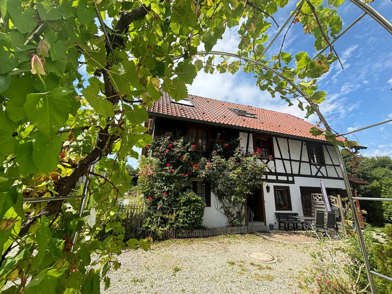 Ganze Ferienwohnung, Haus Schneider  I  Ferienwohnungen am See - Denne, Typ B, 2-Zimmer-Fewo, 50 qm in Immenstaad, Immenstaad am Bodensee
