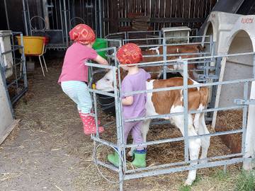 Bauernhaus für 4 Personen in Piding, Bayerische Alpen, Bild 3