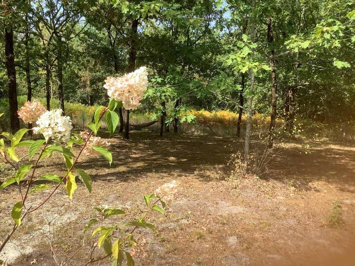 Gîte pour 2 personnes, avec jardin et vue à Grayan-et-l'Hôpital - 4