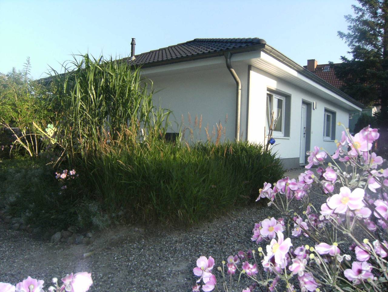 Ganze Ferienwohnung, Gemütliche Fewo  Sonnenuntergang We52433 in Sassnitz, Nationalpark Jasmund