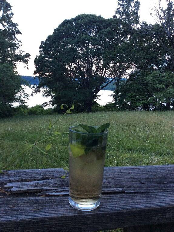 Ferienhaus für 6 Personen, mit Garten und Terrasse - 1
