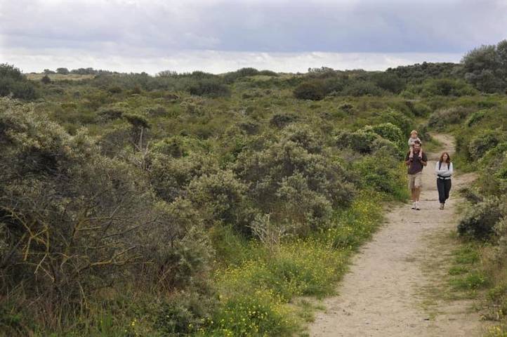 Ferienhaus für 6 Personen, mit Ausblick und Garten sowie Terrasse in De Panne - 3