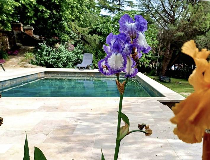 Location de vacances pour 3 personnes, avec jardin ainsi que sauna et piscine à Saint-Florent-sur-Auzonnet - 3