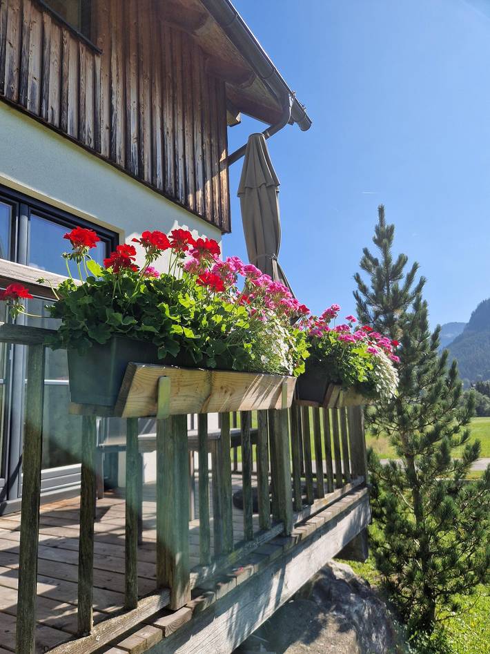 Ganze Ferienwohnung, Apartments gosaukamm.com - Ferienwohnung Schofstoi in Gosau, Dachstein Salzkammergut