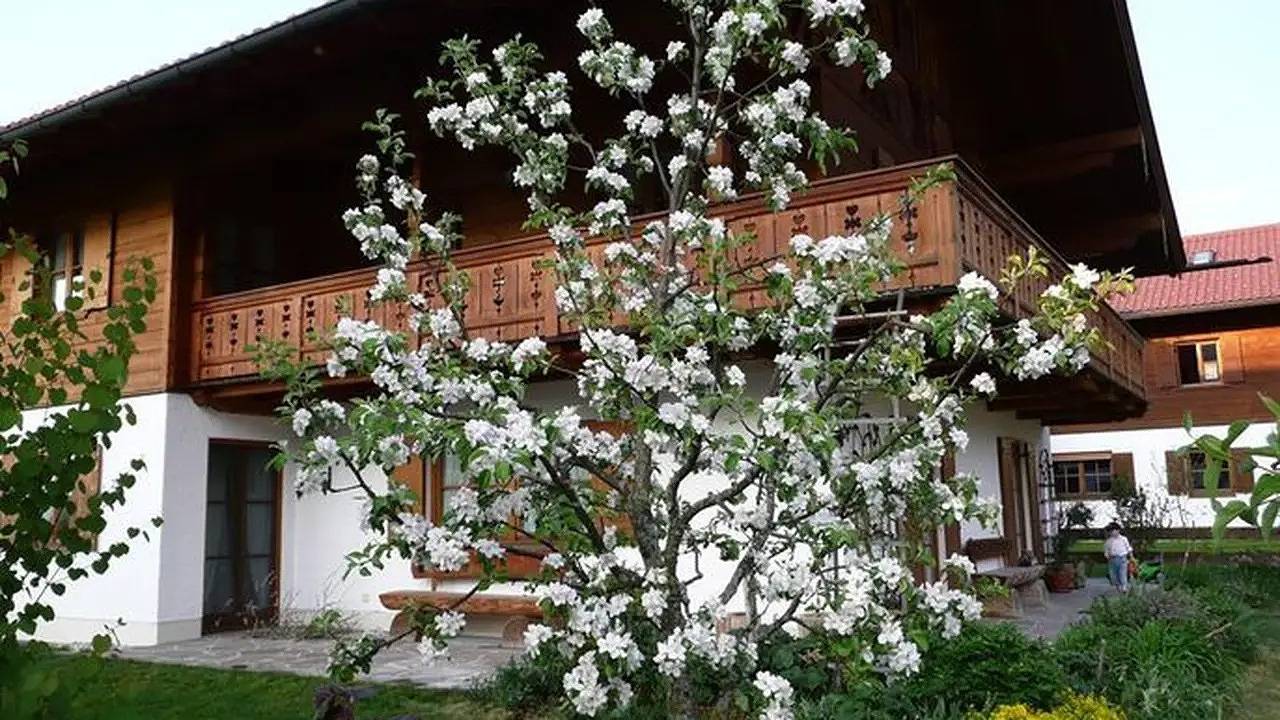 Ganze Ferienwohnung, Ferienwohnung für 2 Personen (41 m²) in Oberammergau in Oberammergau, Bayerische Alpen