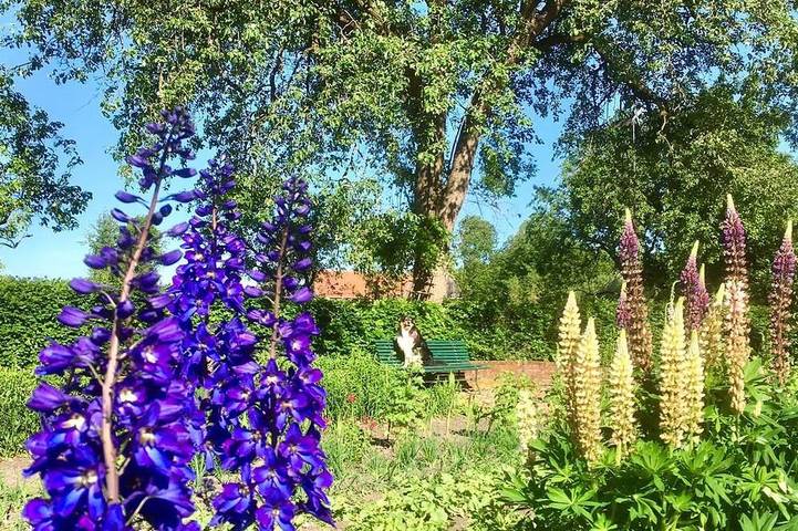 Ferienwohnung für 4 Personen, mit Garten in Havixbeck - 3