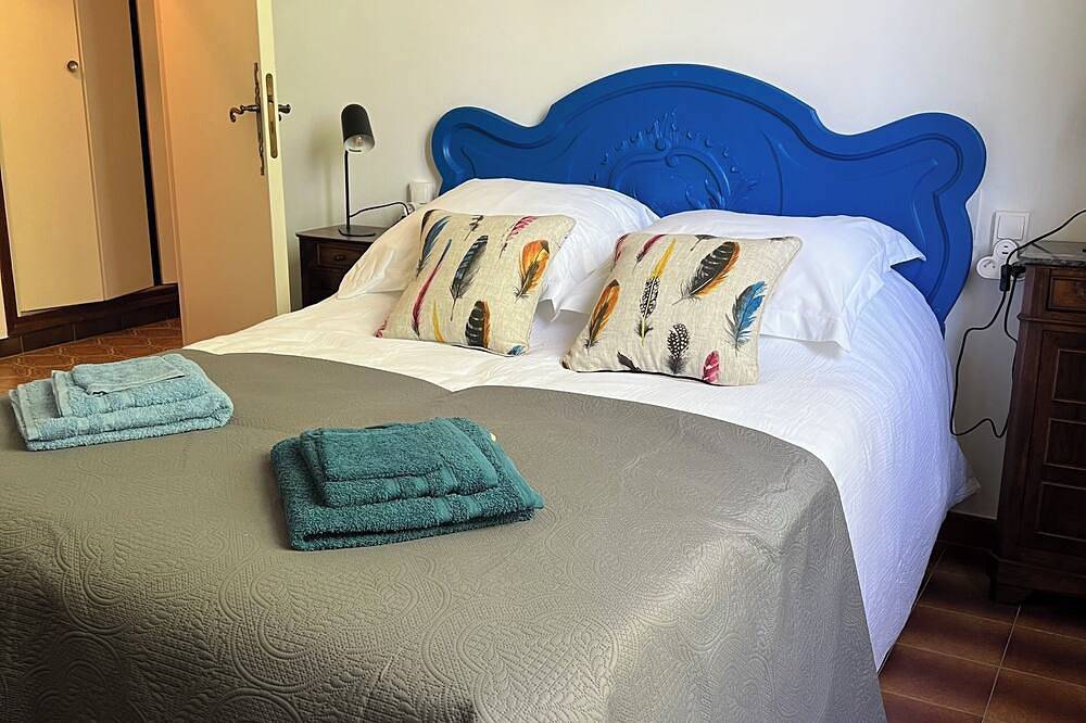 Large house in Provence, terrace and fireplace in Caumont-sur-Durance, Vaucluse