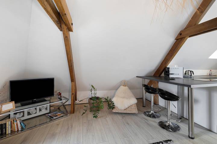 Entire apartment, Charming Little Loft – Wifi, Air Conditioning, Walk to Historic Center in Sarlat-la-Canéda, Périgord Noir