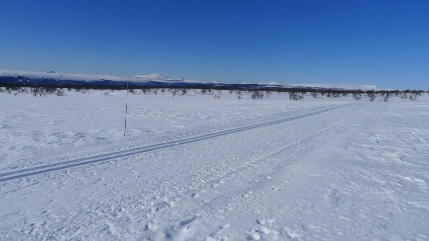 Ferienhaus für 2 Personen, mit Ausblick und Garten, mit Haustier in Ost-Norwegen - 2