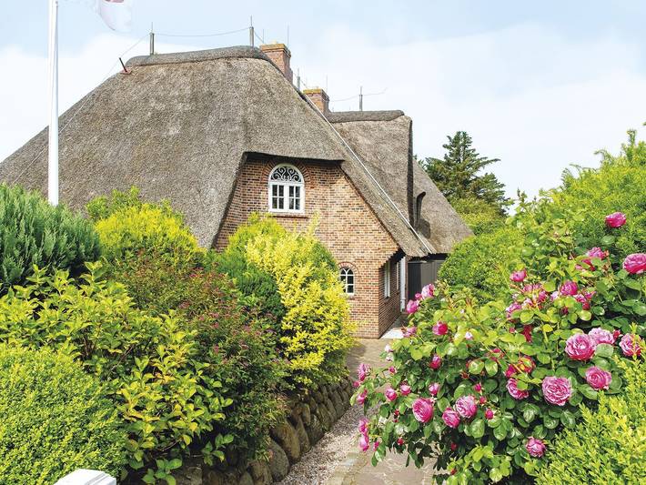 Ferienhaus für 5 Personen, mit Terrasse, mit Haustier - 1