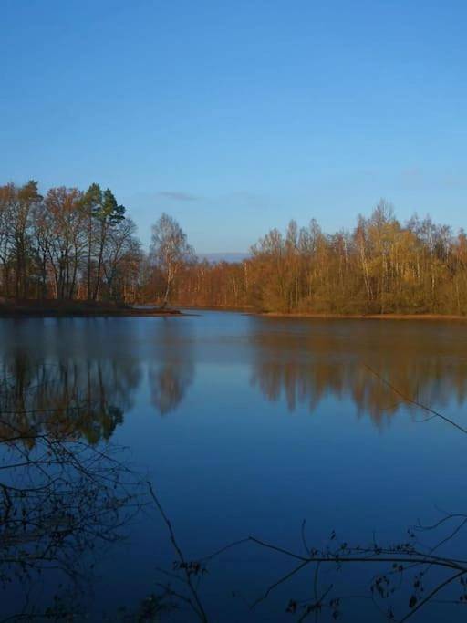 Ferienhaus für 6 Personen, mit Seeblick und Garten in Templin - 3