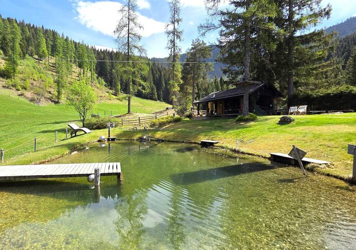 Ganze Ferienwohnung, 3-Raum Hütte für bis zu 6 Personen in Eben im Pongau, Tennengau