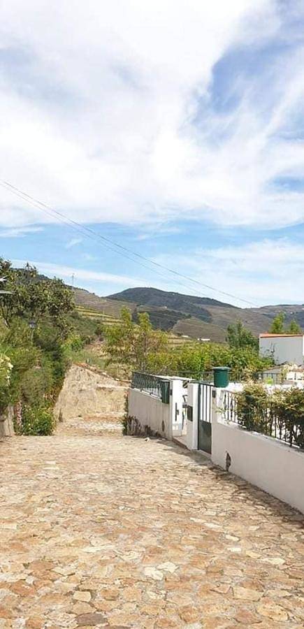 Location de vacances pour 7 personnes, avec jardin et vue à Pinhão - 3