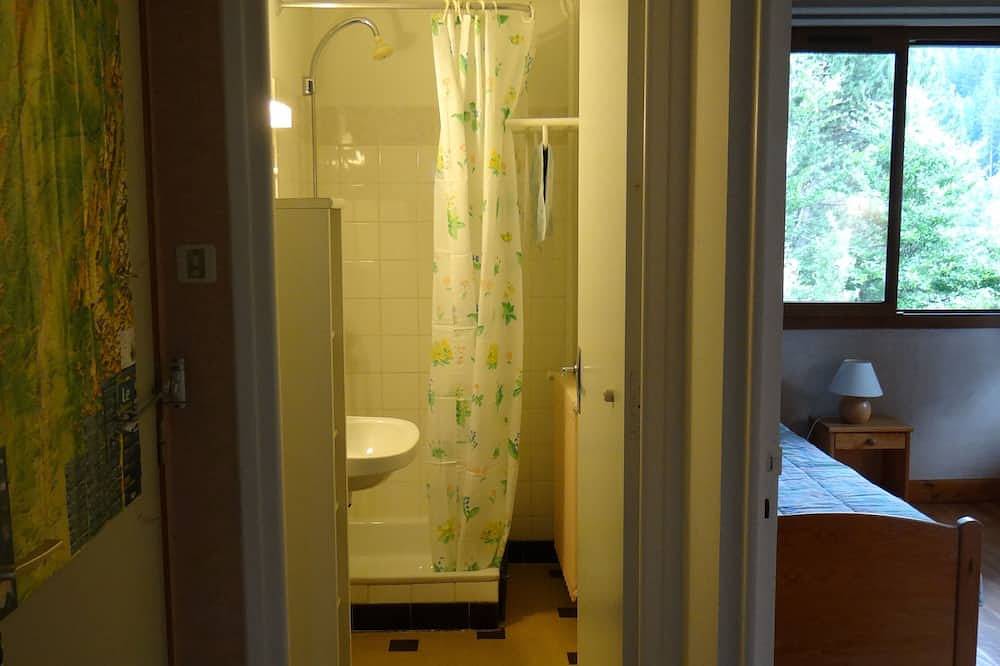 Dans un chalet : Grand appartement 3 pièces - 72 m2 ;calme et proche du village in Villard-de-Lans, Parc naturel régional du Vercors