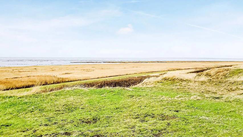 Location de vacances pour 7 personnes, avec jardin à Ribe - 3