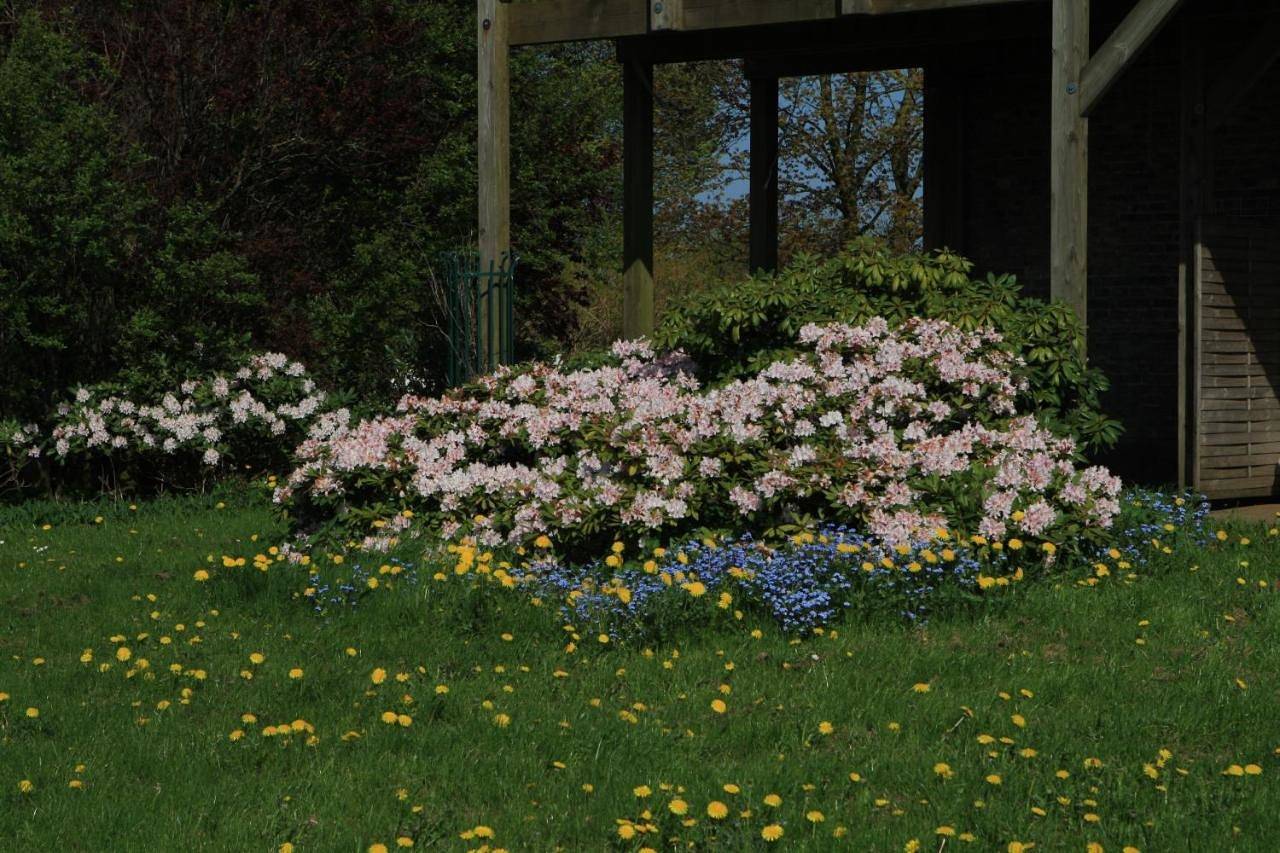 Ganze Wohnung, Hof Eckhorst in Güby, Rendsburg-Eckernförde