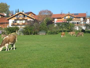 Ferienwohnung für 2 Personen in Bad Bayersoien, Bayerische Alpen, Bild 2
