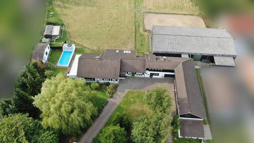 Ferienhaus für 8 Personen, mit Terrasse und Garten sowie Pool und Sauna in Bosau - 2
