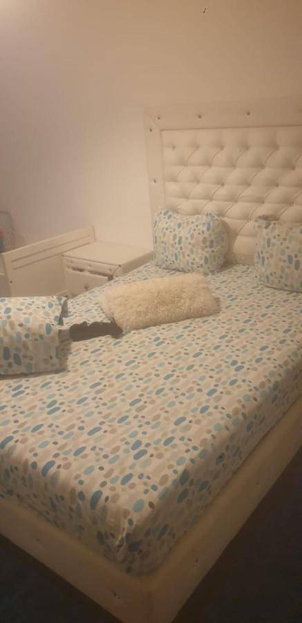 Gîte pour 3 personnes, avec terrasse, animaux acceptés dans Santo Estevão - 4