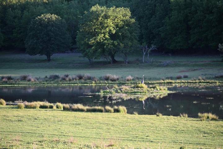 Location de vacances pour 2 personnes, avec piscine et vue ainsi que jardin et vue sur le lac à Tourves - 2