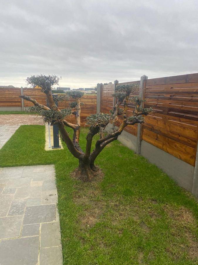 Location de vacances pour 8 personnes, avec jardin et vue à Fontenay-sur-Mer - 3