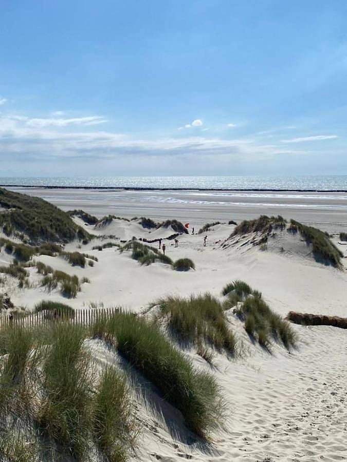 Location de vacances pour 2 personnes, avec terrasse ainsi que jardin et vue à Friville-Escarbotin - 2