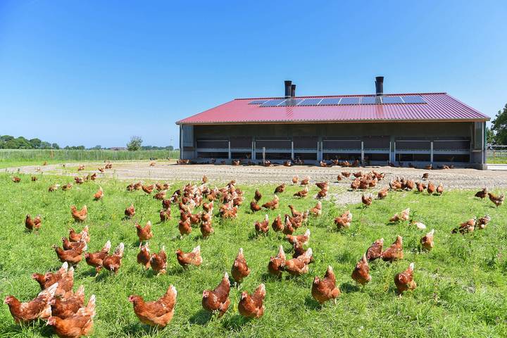 Bauernhof für 2 Personen, mit Garten, kinderfreundlich in Neuharlingersiel - 3