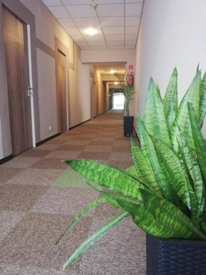 Hôtel pour 3 personnes, avec balcon à Tatabánya - 4