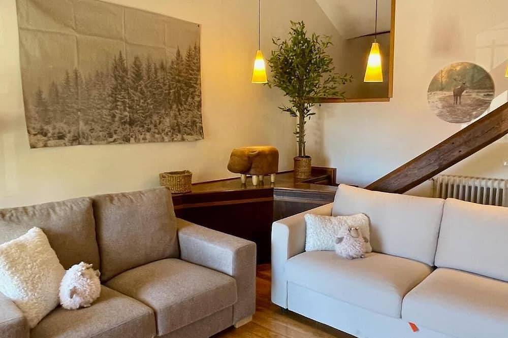 Entire apartment, Cal Querol 2 - penthouse center in Puigcerdà, Catalan Pyrenees