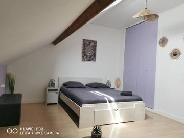 Chambre d’hôte pour 4 personnes, avec terrasse et jardin à Arnage