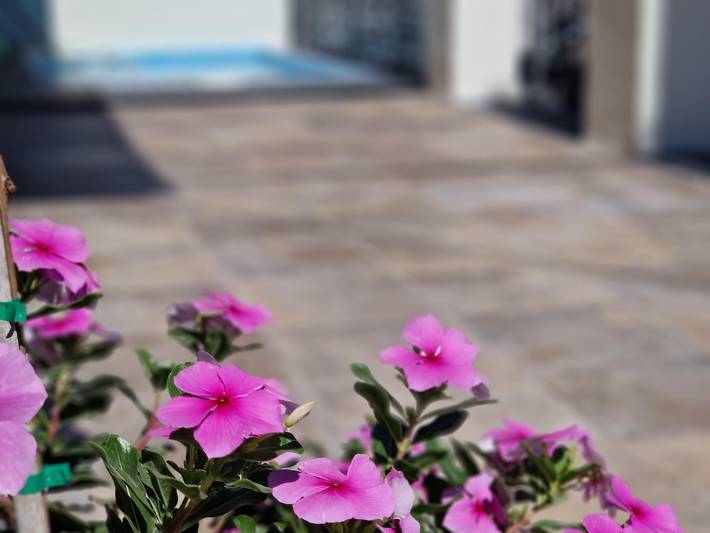 Ferienhaus für 4 Personen, mit Terrasse und Pool in Malaga - 2