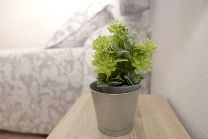 Ferienwohnung für 4 Personen, mit Terrasse - 1