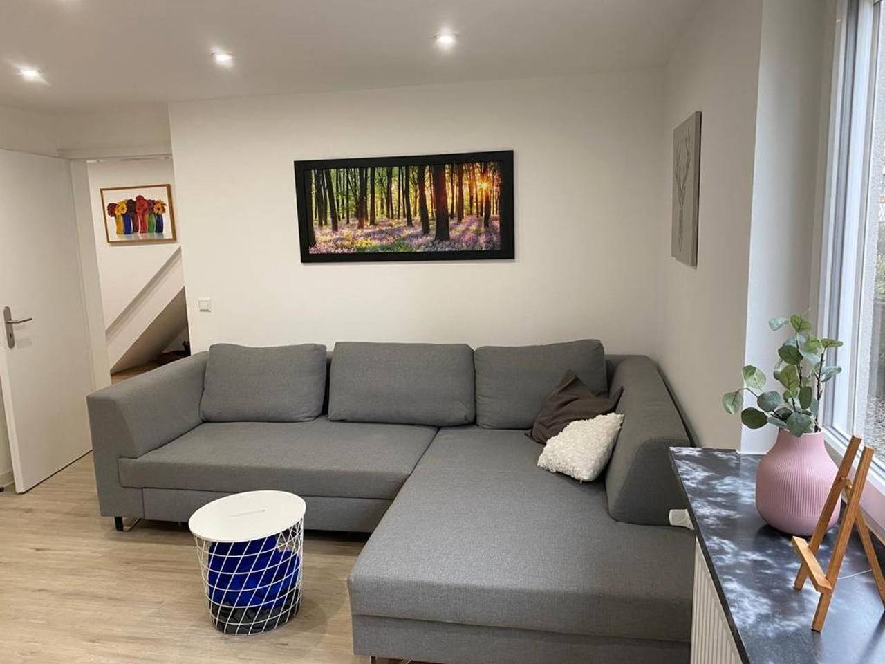 Ganze Wohnung, Apartment 'Rheingold' mit privater Terrasse, privatem Garten und Wlan in Kehl, Mittlerer Schwarzwald