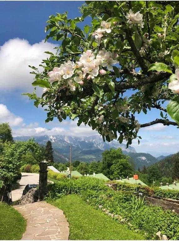 Ferienwohnung für 2 Personen, mit Garten, mit Haustier in Obersalzberg - 2