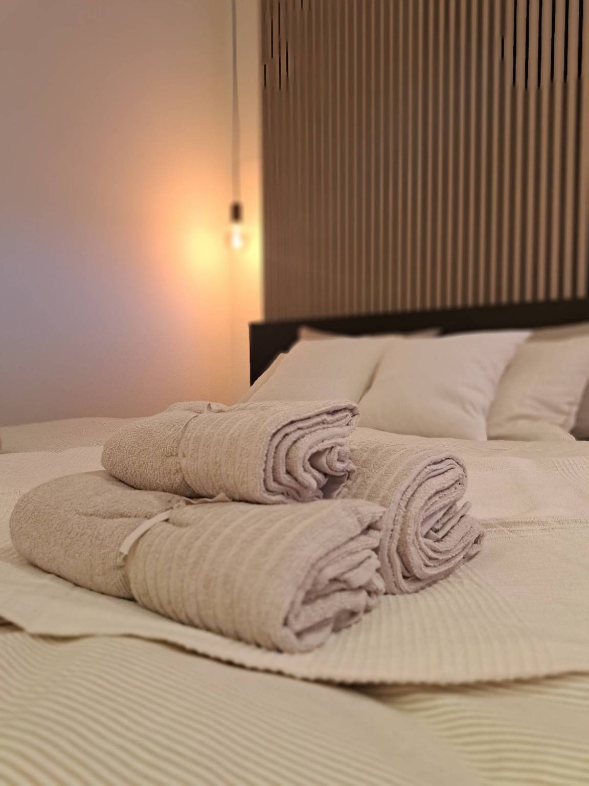 Gehele studio, Studio voor 2 personen in Antwerpen, Antwerpen en omgeving