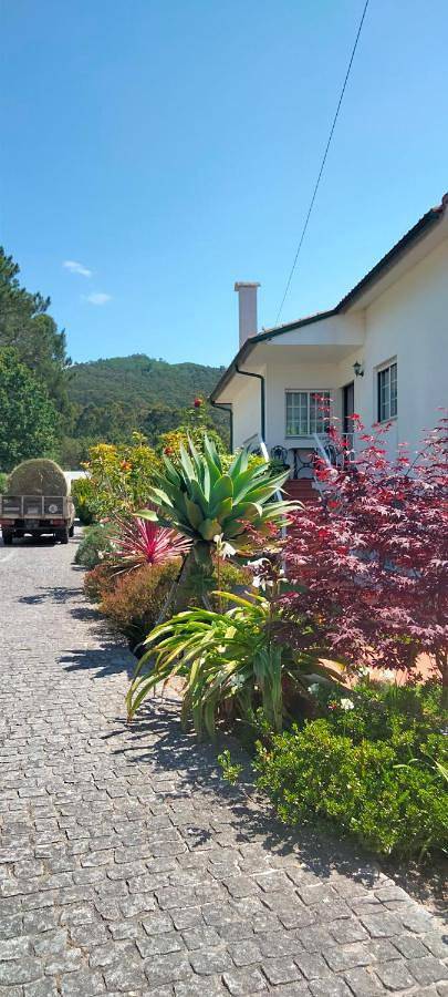 Three-Bedroom House in Afife, Viana do Castelo Distrikt