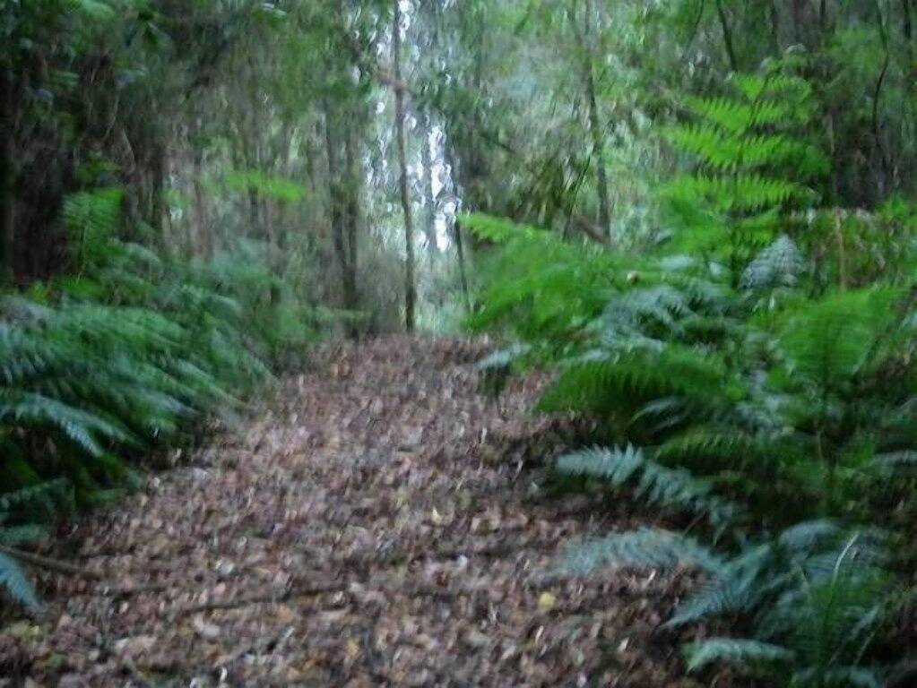 Parkwood Cottage Otways in Colac Otway Shire