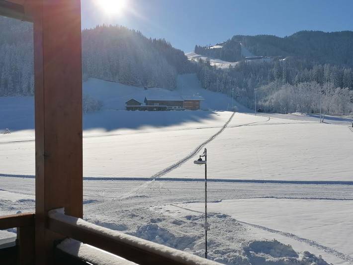 Ferienwohnung für 3 Personen, mit Balkon und Garten in Reith im Alpbachtal - 4