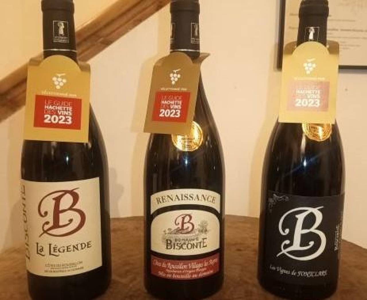 Domaine Bisconte in Saint-Génis-des-Fontaines, Côte méditerranéenne (France)