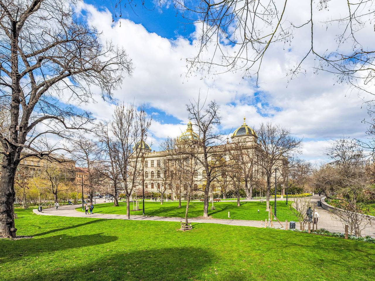Ganze Wohnung, Prague Centre 104 - Čelakovsky 104.1 in Nové Město (Praha), Prag
