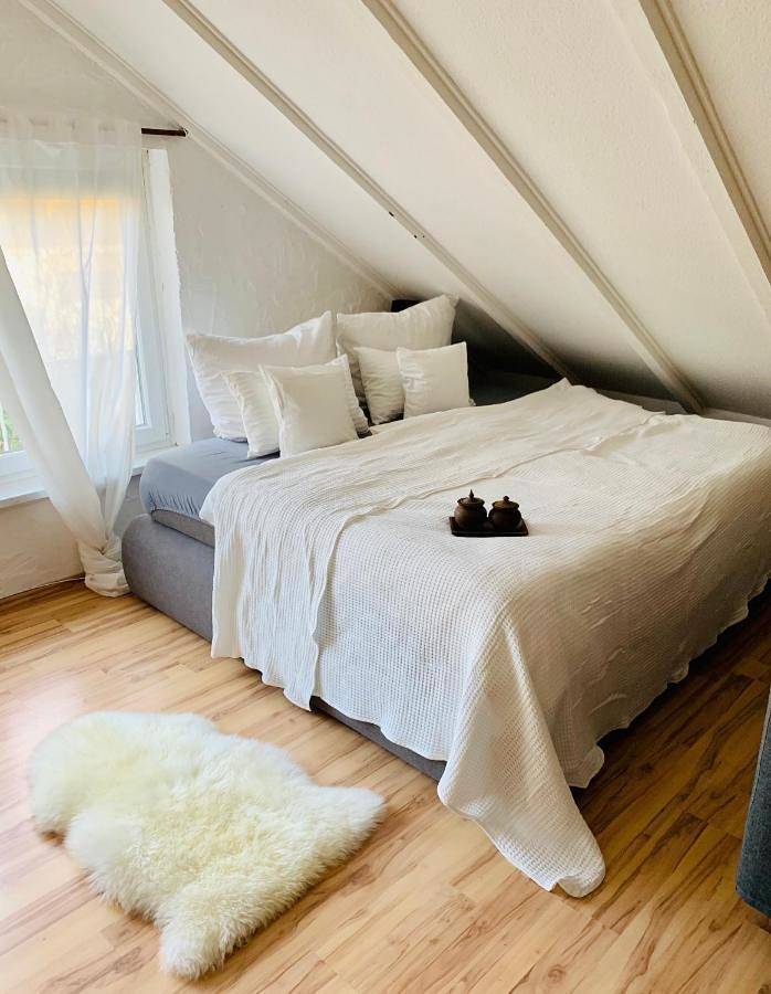 Gîte pour 3 personnes, avec vue à Homburg - 2