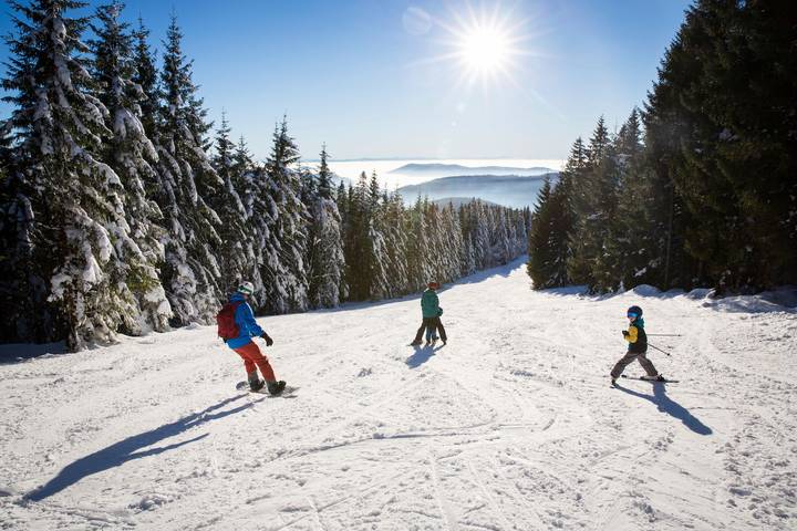 Appartement de vacances entier, Appartement de vacances pour 4 personnes in Neustadt (Titisee-Neustadt), Titisee-Neustadt