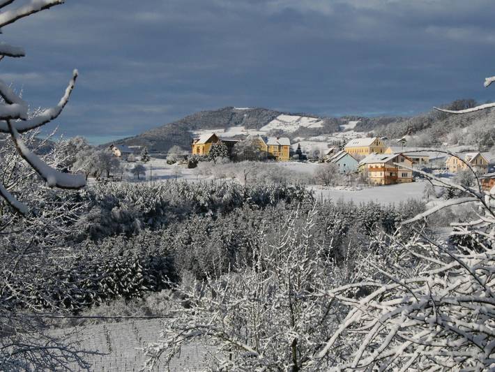 Hotel für 4 Personen, mit Pool und Garten sowie Terrasse, mit Haustier in Kaindorf