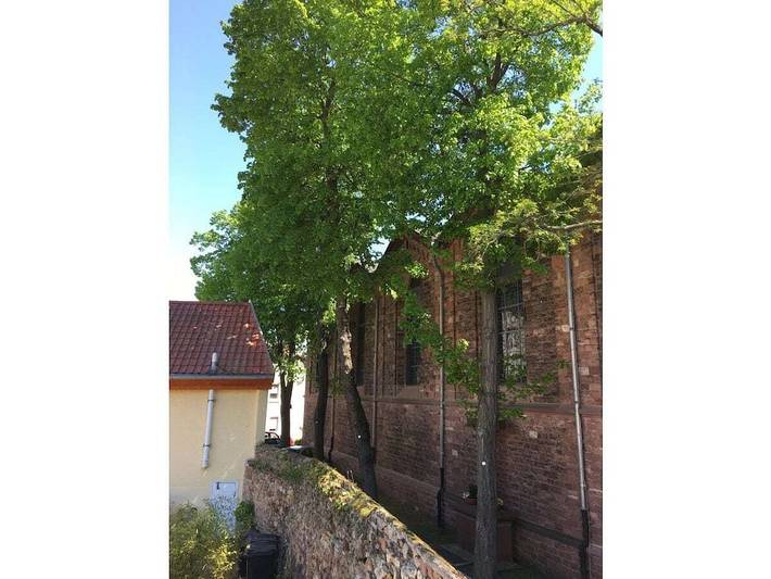 Ferienhaus für 4 Personen, mit Balkon in Wiesbaden