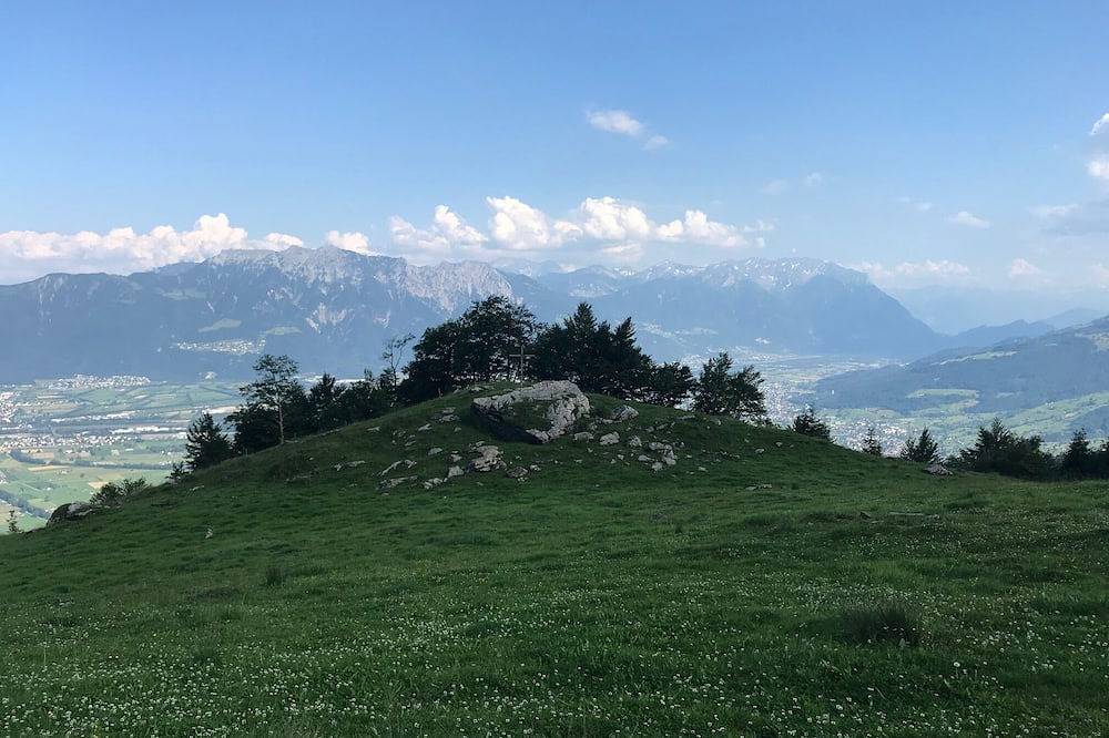 Ganze Wohnung, Toller Bergblick über das Tal von Lichtenstein, Wohnung am Hang in Gams, Wahlkreis Werdenberg