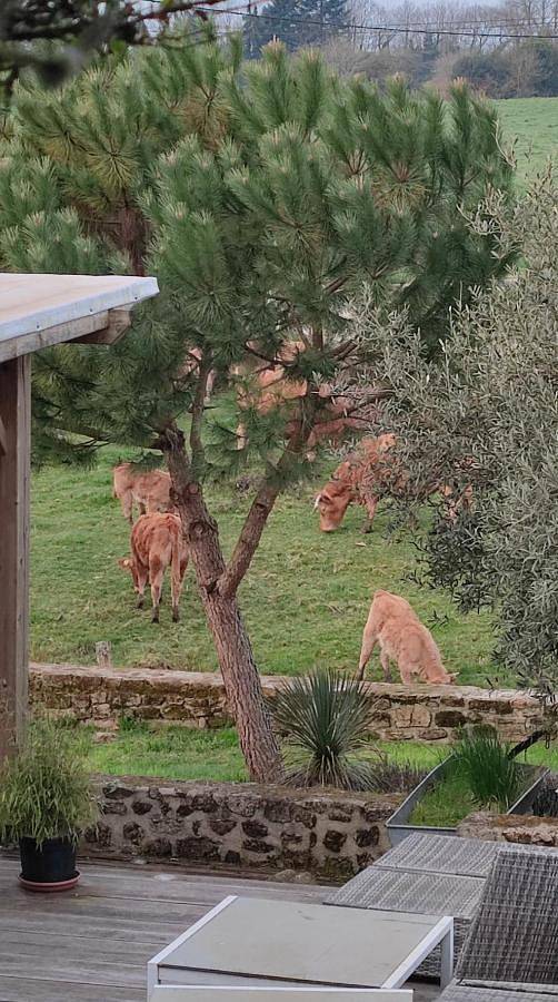Location de vacances pour 4 personnes, avec terrasse à Saint-Brice-sur-Vienne - 2